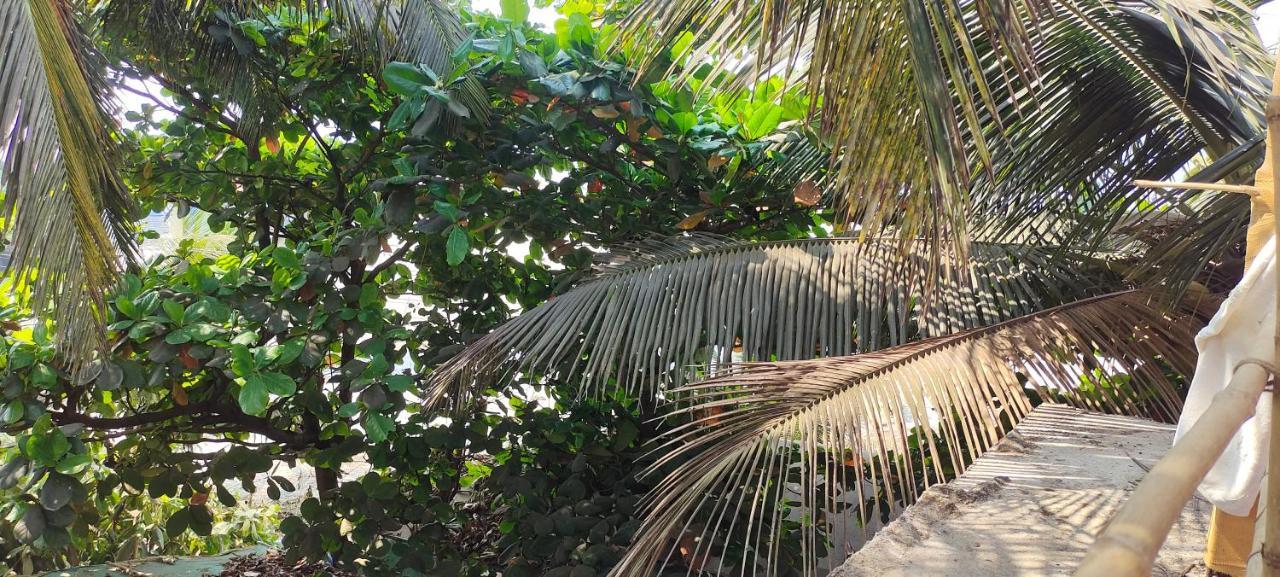 Est Hem Guesthouse Arambol Dış mekan fotoğraf
